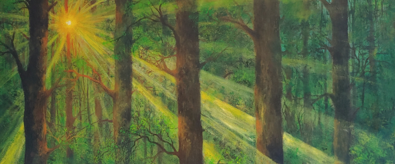 Sonnenstrahlen im Wald